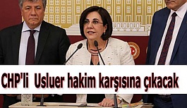 USLUER: BU DAVANIN AMACICHP’Yİ SUSTURMAK