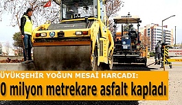 BÜYÜKŞEHİR HEM MERKEZDE HEM İLÇELERDE  YOĞUN MESAİ HARCADI: