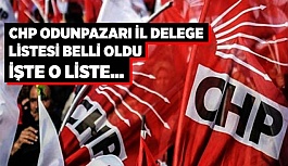 CHP ODUNPAZARI İL DELEGE LİSTESİ BELLİ OLDU