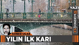 Yılın ilk karı