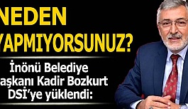 BOZKURT'TAN DSİ'YE SİTEM