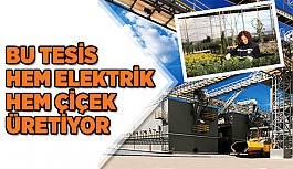 BÜYÜKŞEHİR BELEDİYESİ KATI ATIK DÖNÜŞÜM VE ENERJİ ÜRETİMİ TESİSİ