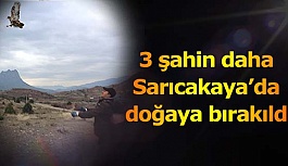 HAYVANAT BAHÇESİ’NİN MİSAFİRLERİ DOĞAYA SALINDI