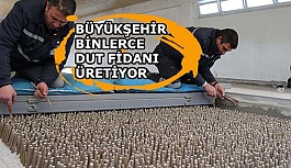 İpek böcekçiliği yeniden hayat buluyor