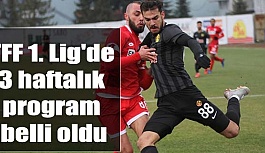 TFF 1. Lig'de 3 haftalık program belli oldu