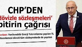 ÇAKIRÖZER: DÖVİZ ÜZERİNDEN SÖZLEŞMELER BİTİRİLSİN