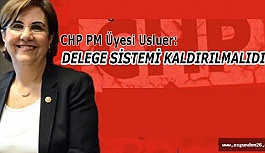 CHP PM ÜYESİ USLUER: DELEGE SİSTEMİ KALDIRILMALIDIR