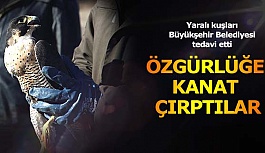 ÖZGÜRLÜĞE KANAT ÇIRPTILAR