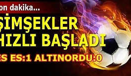 ŞİMŞEKLER HIZLI BAŞLADI