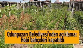 Hobi bahçeleri kapatıldı