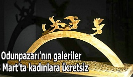 Odunpazarı’nın galeriler 8 Mart’ta kadınlara ücretsiz