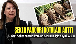 ŞEKER PANCARI KOTALARI ARTTIRILDI