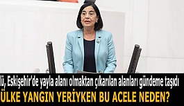 SÜLLÜ: ÜLKE YANGIN YERİYKEN BU ACELE NEDEN?