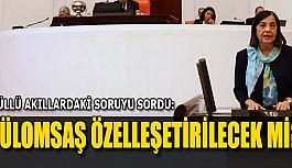 SÜLLÜ:TÜLOMSAŞ ŞEHRİN DEĞERİDİR