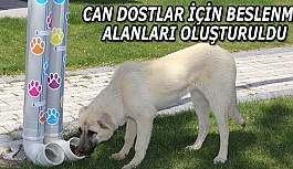 CAN DOSTLAR İÇİN BESLENME ALANLARI OLUŞTURULDU