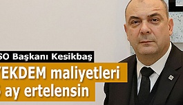 Kesikbaş: YEKDEM maliyetleri 6 ay ertelensin