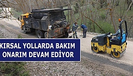 KIRSAL YOLLARDA BAKIM ONARIM DEVAM EDİYOR