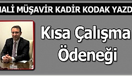 KISA ÇALIŞMA ÖDENEĞİ