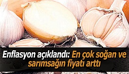 Enflasyon açıklandı: En çok soğan ve sarımsağın fiyatı arttı