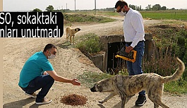 ESO, sokaktaki canları unutmadı