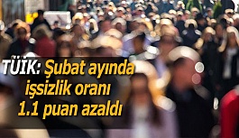 TÜİK: Şubat ayında işsizlik oranı 1.1 puan azaldı