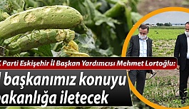 AK Parti’den çiftçilere geçmiş olsun ziyareti