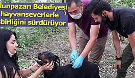 Odunpazarı Belediyesi hayvanseverlerle işbirliğini sürdürüyor