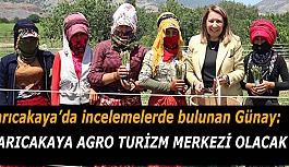 Emine Nur Günay: Sarıcakaya agro turizm merkezi olacak