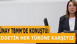 Günay kadına yönelik şiddeti meclis gündemine taşıdı