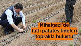 Mihalgazi'deki 12 çiftçi 6 dekarlık alanda tatlı patates yetiştiriciliği yapacak