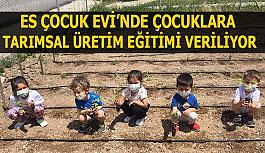 Es Çocuk Evi’nde çocuklara  tarımsal üretim eğitimi veriliyor