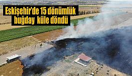 15 dönümlük buğday dakikalar içinde küle döndü