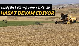 Üreticiye destek hasadı devam ediyor