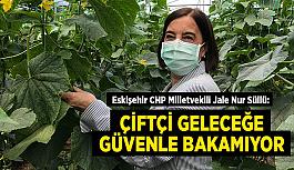 Süllü: Çiftçi geleceğe güvenle bakamıyor