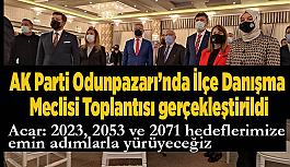 AK Parti Odunpazarı’nda İlçe Danışma Meclisi Toplantısı gerçekleştirildi