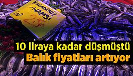 Yağışlar balık fiyatlarını uçurdu