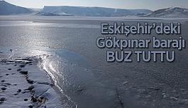 Gökpınar barajı buz tuttu