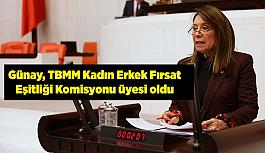 Günay TBMM Kadın Erkek Fırsat  Eşitliği Komisyonu üyesi oldu