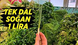 Taze soğanın tek bir dal fiyatı 1 lirayı buldu