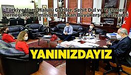 Türkiye Harp Malulü Gaziler, Şehit Dul ve Yetimleri Derneği Yönetimi Başkan Büyükerşen'i ziyaret etti
