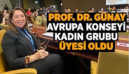 Prof. Dr. Günay  Avrupa konseyi  Kadın Grubu  Üyesi oldu