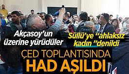 ÇED toplantısında CHP'li vekile hakaret