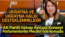 Günay: Rusya'nın Ukrayna'ya yönelik saldırganlığının sadece kısa vadeli sonuçlar olmaz