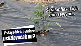 Ucuz sebze için geri sayım başladı