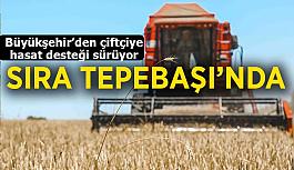 Hasat desteğinde sıra Tepebaşı ilçesinde