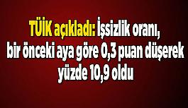 İşsizlik oranı, bir önceki aya göre 0,3 puan düşerek yüzde 10,9 oldu