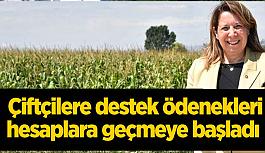 Emine Nur Günay: Eskişehir çiftçimize 46 Milyon 963 Bin 150 liralık tarımsal destekleme ödemesi başlıyor