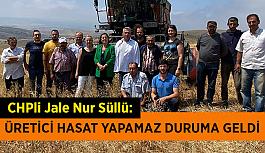 Süllü: Üretici hasat yapamaz duruma geldi