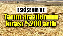 Eskişehir'deki tarım arazilerinin kirasındaki artış çiftçiyi düşündürüyor