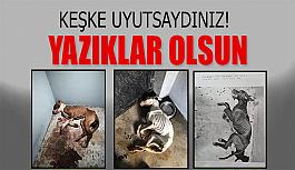 Eskişehir'deki hayvan barınağından insanlıktan utandıran görüntüler